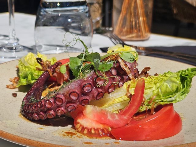 restaurant la terrasse salade méditerranéenne, poulpe à la plancha
